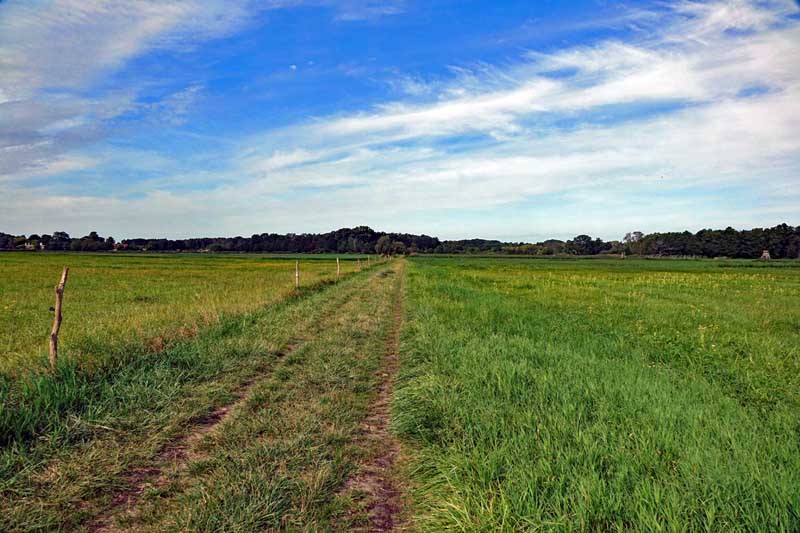 BRANDENBURG 12 luchwiesen salzweg storkow wandertour rundweg oder spree