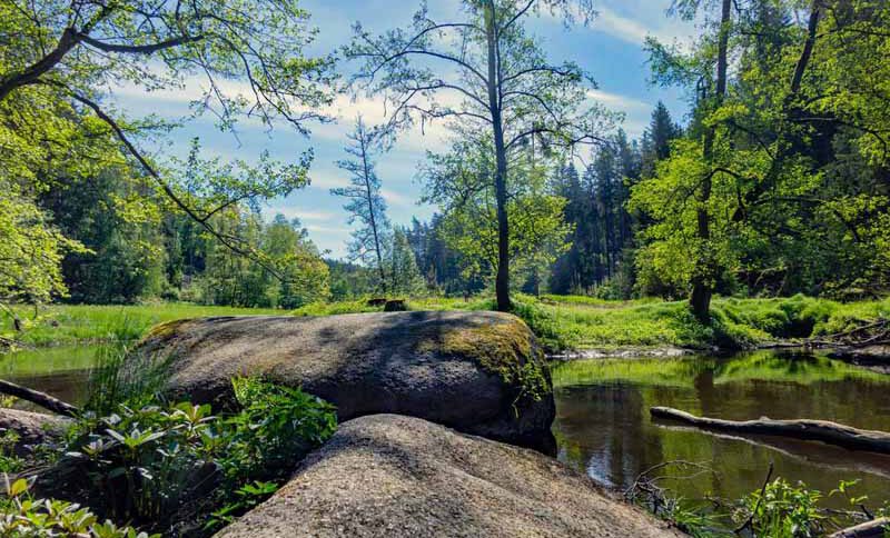 Waldnaabtal Rundweg Hammermühle 2 wanderung waldnaabtal oberpfalz bayern