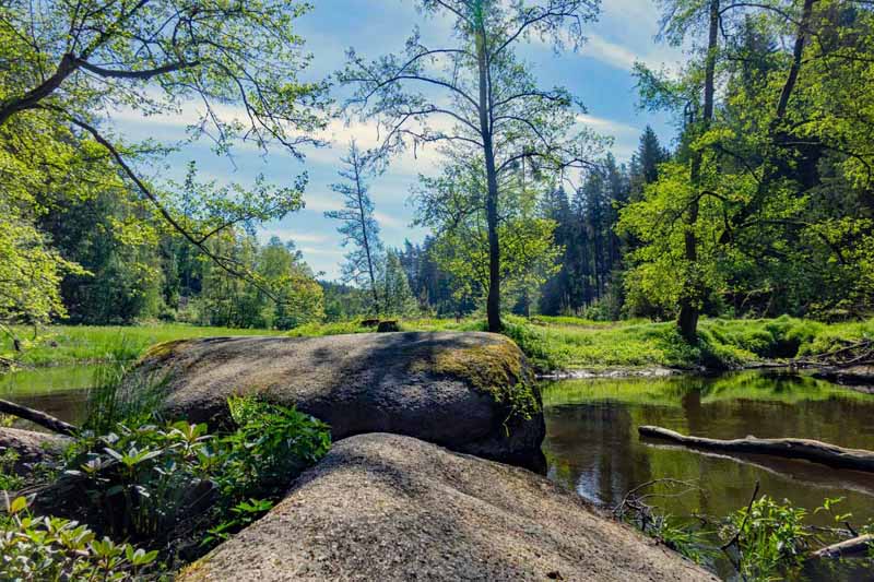 waldnaabtal runde hammermühle rundweg wandern blockhütte