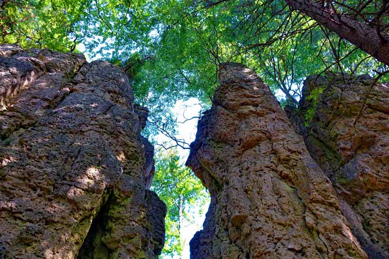 OBERPFÄLZER WALD 8 türkenfelsen zauberwald orchideenweg lichtenegg birgland