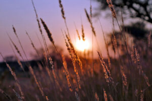 namibia beste reisezeit sonnenuntergang klima