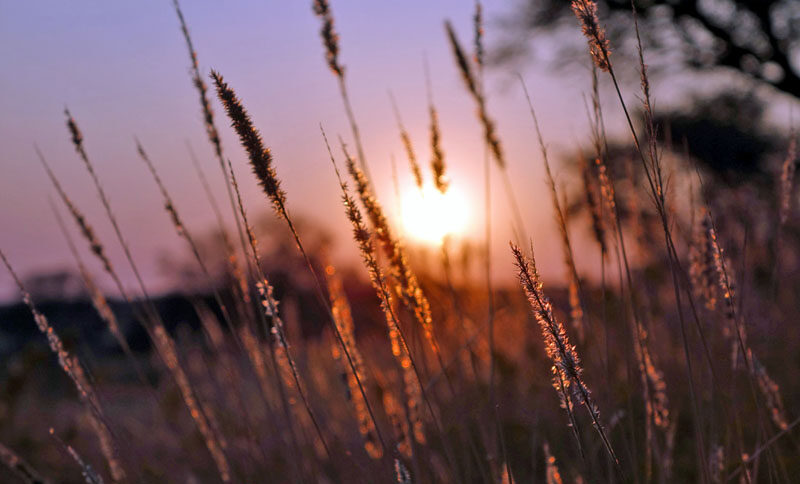 namibia beste reisezeit sonnenuntergang klima