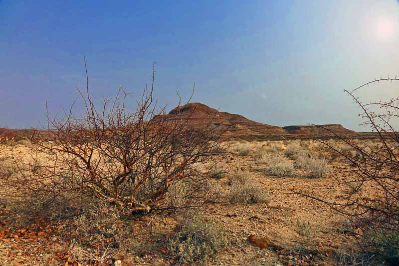 ZURÜCK IN DIE VERGANGENHEIT 5 mit dem mietwagen durch namibia familie kinder