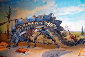 royal tyrrell dinosaur museum alberta kanada