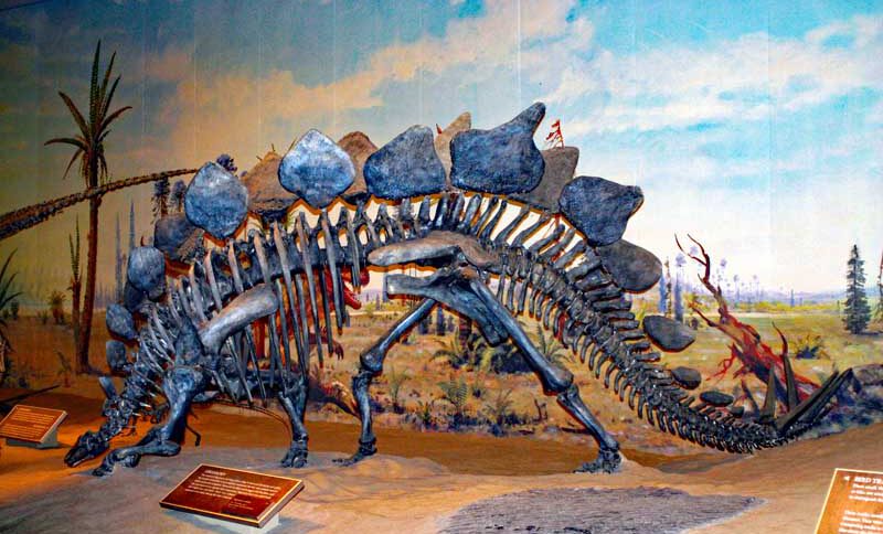 ROYAL TYRRELL MUSEUM IN KANADA 2 alberta kanada canada bc royal tyrrell museum dinos
