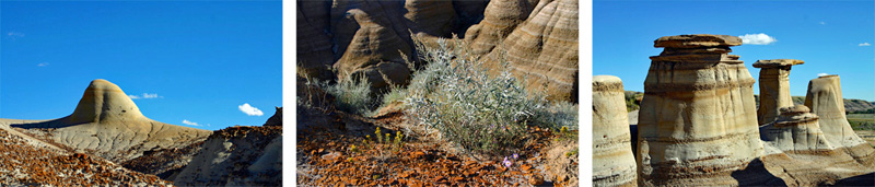 EINKAUFEN 6 kanada urlaub rundreise wohnmobil checkliste urlaub