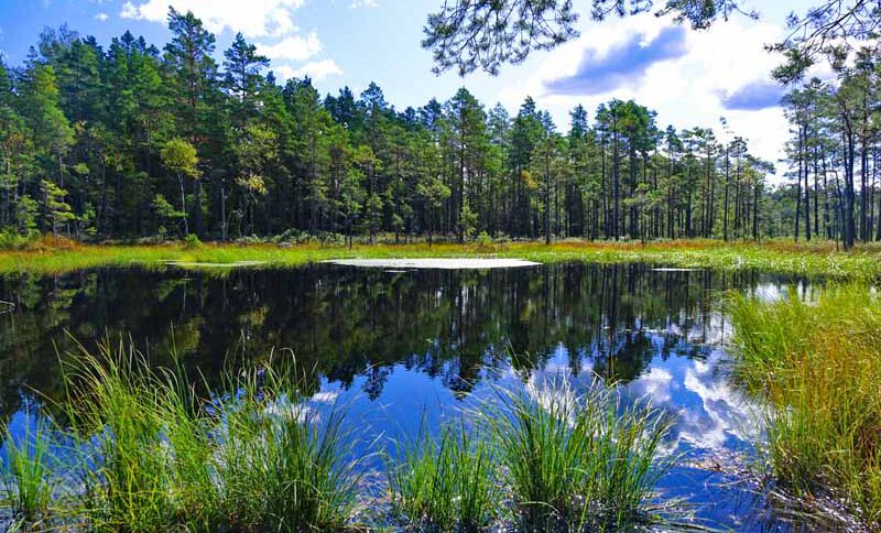 STORE MOSSE NATIONALPARK 2 skandinavien schweden nationalpark store mosse