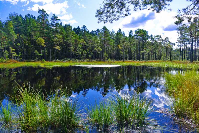 WANDERN 16 skandinavien schweden nationalpark store mosse