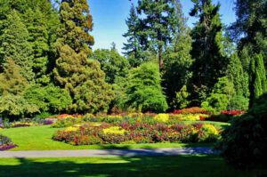 SIGHTSEEING TOUR 13 vancouver städtetrip stanley park