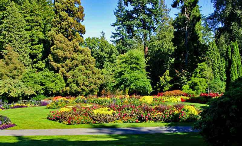 STANLEY PARK & VANCOUVER AQUARIUM 2 vancouver städtetrip stanley park