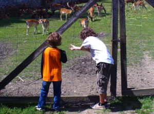 WANDERN MIT KINDERN 14 wandern mit kindern voraussetzungen