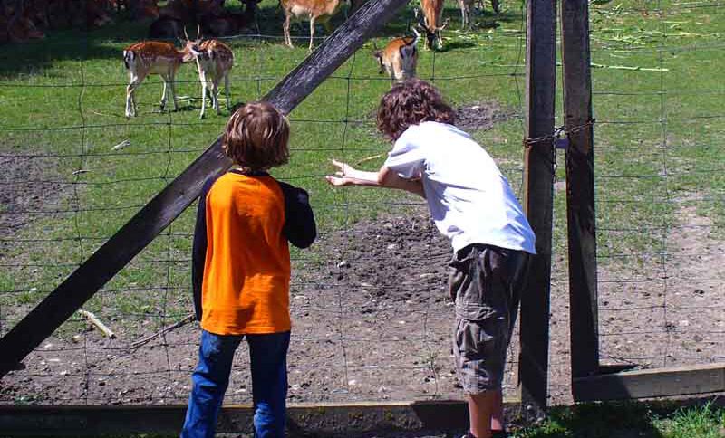 wandern mit kindern voraussetzungen