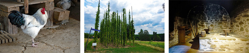 OBERPFÄLZER WALD 10 oberpfälzer wald ausflug freilandmuseum