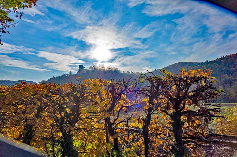 Rundwanderung durch das romantische Wiesenttal - Von der Streitburg zur Binghöhle (Fränkische Schweiz) 21 blick auf burg ruine neideck geotop forchheim orientieren
