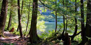 unsere route kanada wohnmobil mama kind bc alberta