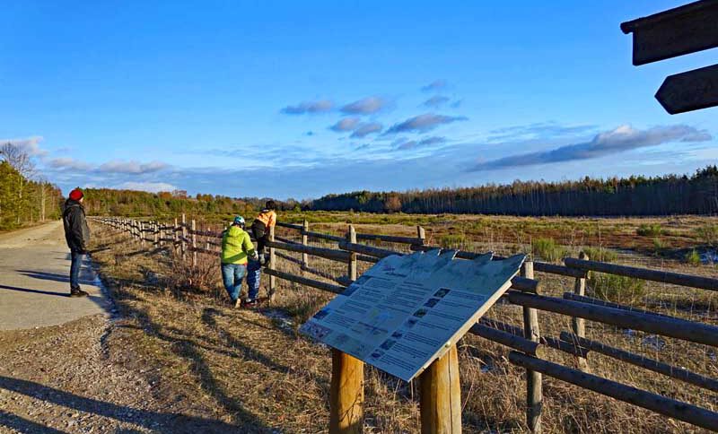 wandern mit kindern klein buggy kinderwagen voraussetzungen