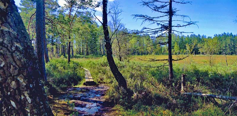 STORE MOSSE NATIONALPARK 8 wandern schweden nationalpark store mosse smaland