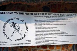 ZURÜCK IN DIE VERGANGENHEIT 6 petrified forest versteinerter wald namibia namib damaraland