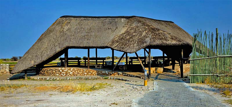 ETOSHA NATIONALPARK 9 wasserloch beobachten tiere etosha nationalpark