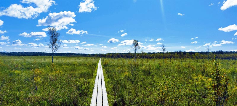 STORE MOSSE NATIONALPARK 4 nationalparks in schweden store mosse moor südschweden