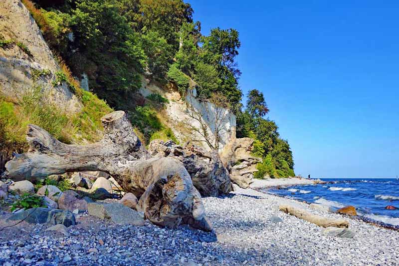 Urwald in Deutschland 21 urwald alte buchenwälder rügen jasmund