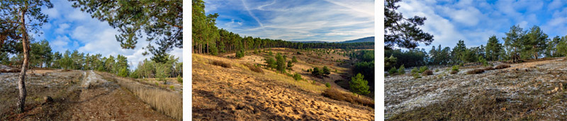 WANDERN 3 wandern wandertipps sandachse franken