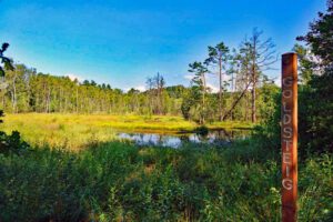 oberpfälzer wald oberpfalz ausflüge und wanderungen