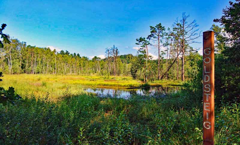OBERPFÄLZER WALD 2 oberpfälzer wald oberpfalz ausflüge und wanderungen