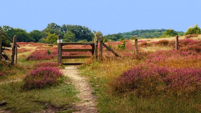 STENSHUVUD NATIONALPARK 2 stenshuvud nationalpark südschweden urlaub