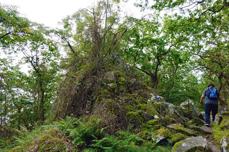 STENSHUVUD NATIONALPARK 7 wandern schweden stenshuvud nationalpark skane