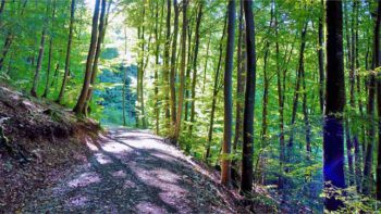Permalink zu:TOUREN IN BAYERN
