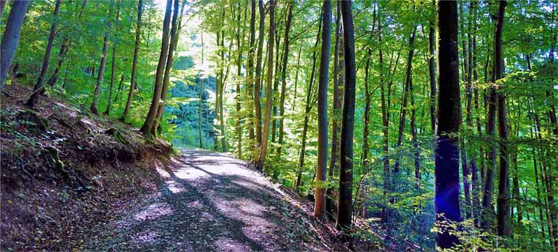 touren in bayern wandern ausflug interaktive karte
