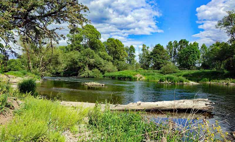 naturerlebnisweg baunach südsee bei bamberg haßberge