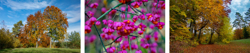 Von der Teufelshöhle zum Hasenloch - Rundwanderung um Pottenstein (Fränkische Schweiz) 22 wandern fränkische schweiz pottenstein sehenswürdigkeiten rundweg