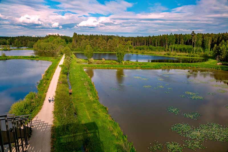 OBERPFÄLZER WALD 13 ausblick auf die tirschenreuther teichpfanne von der himmelsleiter turm