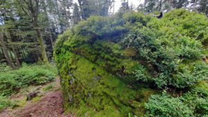 predigtstuhl fichtelgebirge fichtelberg wandern fichtelsee