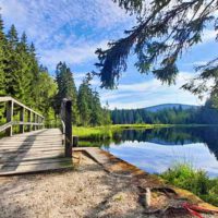Vom Fichtelsee zur Platte (Fichtelgebirge) 1 brücke steg fichtelsee fichtelgebirge naturpark bayern franken