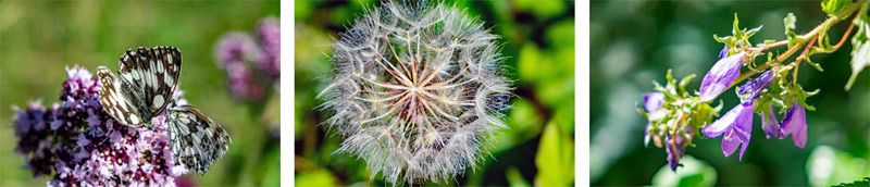 Geopark Nördlinger Ries 3 nördlinger ries wandern geotop lindle und ofnethöhlen