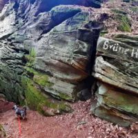 grüne hölle bollendorf rundweg 55 südeifel rheinland pfalz