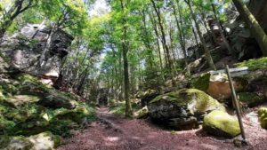 grüne hölle bollendorf schönster wanderweg nr 55