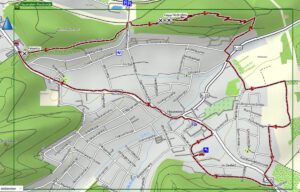 DAHNER FELSENLAND 29 wanderkarte hauenstein nord