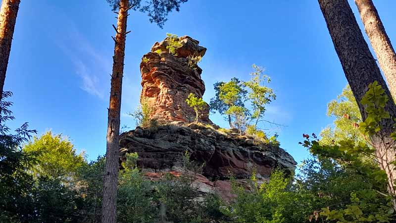 DAHNER FELSENLAND 36 kaisertour dahn pfaelzerwald felsenland pfalz napoleonfelsen