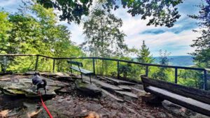 rastplatz am kreuzlay grüne hölle bollendorf