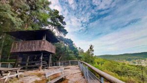 aussichtsturm wanderung 55 grüne hölle bollendorf