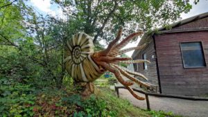 ammonit dinosaurier park teufelsschlucht ernzen