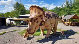 triceratops dinosaurier park ernzen