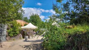 dinosaurierpark teufelsschlucht ernzen eifel forscher camp