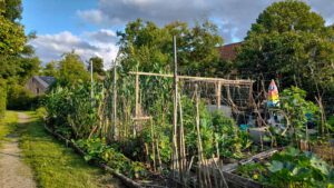 gemüse garten kemnath karpfenweg altstadt rundweg kinder 