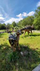 kentrosaurus dinosaurier park ernzen eifel