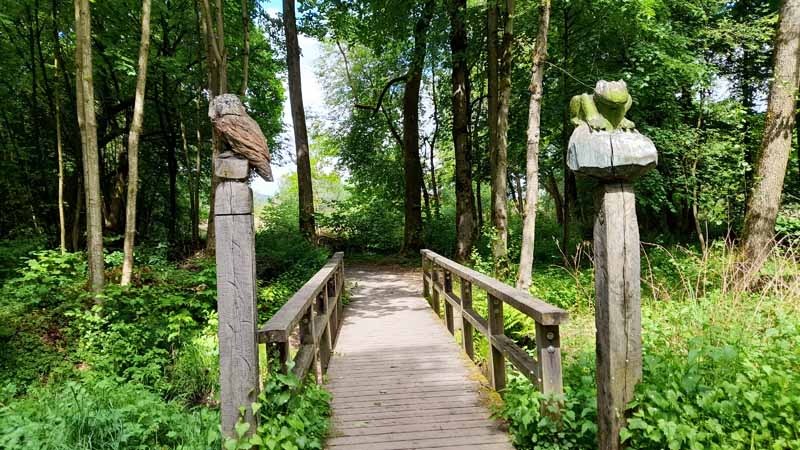 PARKS UND PRIVATE GÄRTEN 23 wasserschloss mittwitz landkreis kronach park garten bayern oberfranken